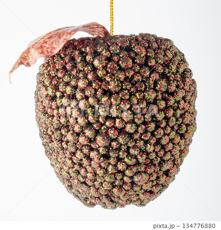 Christmas apple decoration 134776880