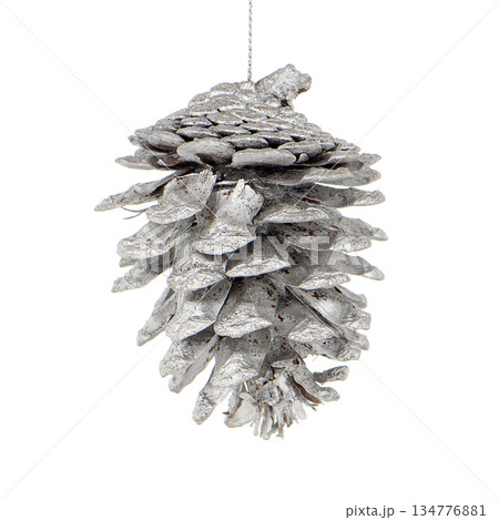 Pine cone painted with white Pine cone painted with white 134776881