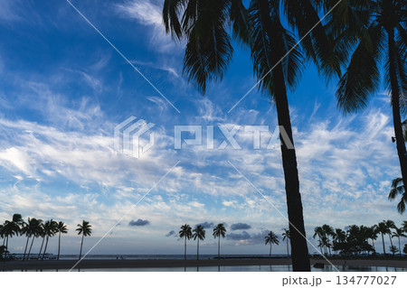 ハワイの空と雲そしてヤシの木 ハワイの空と雲そしてヤシの木 134777027