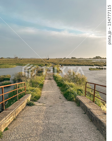 View of sunset on Ria de Aveiro, Ovar, Portugal. 134777115