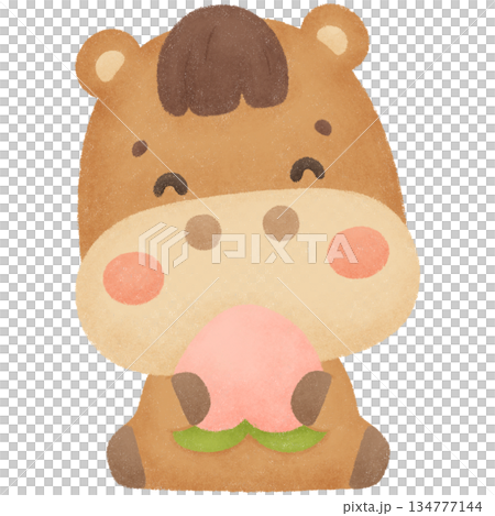 New year 2026 134777144