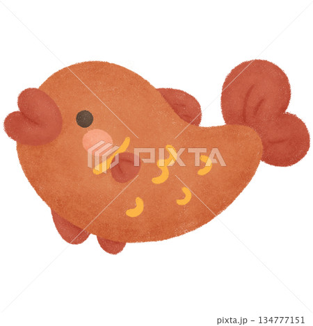 New year 2026 134777151