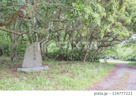 茨城　陸平貝塚 134777221