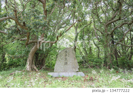 茨城　陸平貝塚 134777222