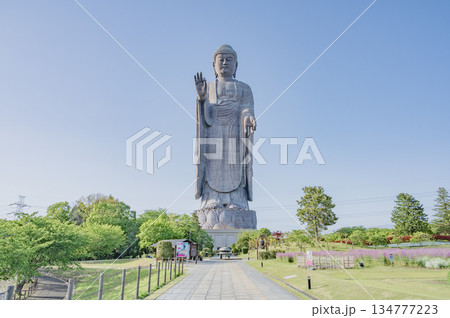 茨城 牛久大仏 茨城 牛久大仏 134777223
