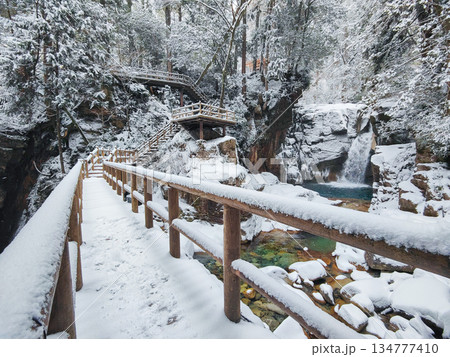夕森渓谷（冬）：竜神の滝 134777410