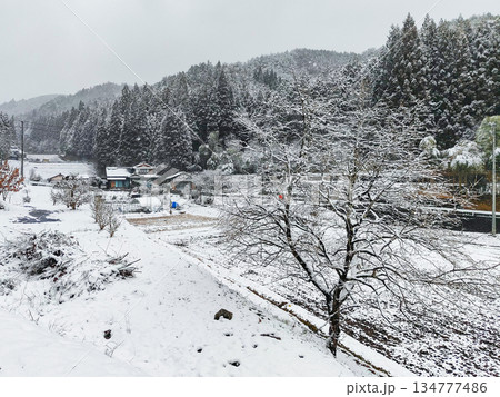 冬の田舎風景 134777486