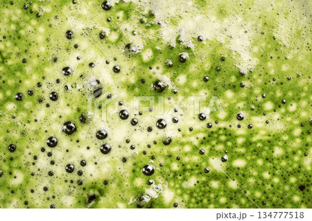 Close-up of matcha tea latte foam 134777518