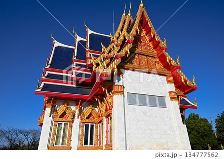 ワットパクナム日本別院 ワットパクナム日本別院 134777562