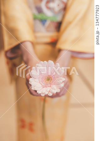 ピンクの花を持つ着物の女性 134777923