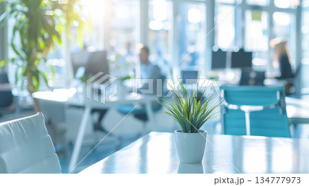 観葉植物のある明るいオフィス空間をぼかして表現したビジネス背景素材 観葉植物のある明るいオフィス空間をぼかして表現したビジネス背景素材 134777973