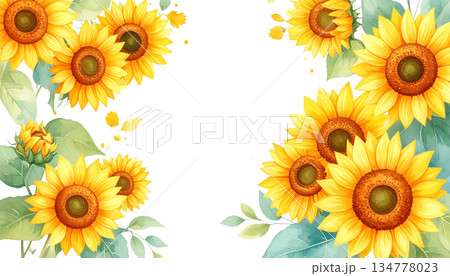 背景透過 ひまわり 夏のデザイン素材 134778023