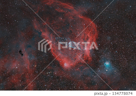 ダイオウイカ星雲とフライングバット星雲 134778074