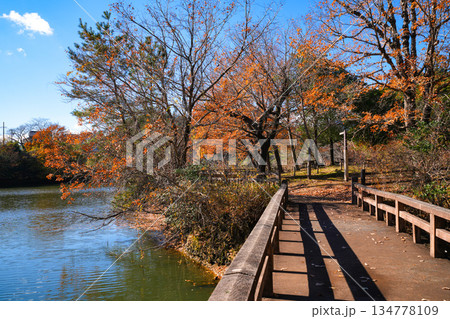 安濃中央総合公園 134778109