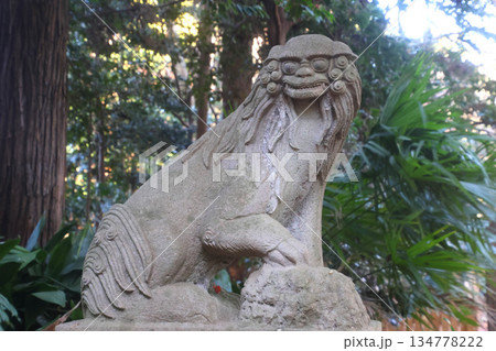 吉高宗像神社・狛犬（千葉県・君津市） 134778222