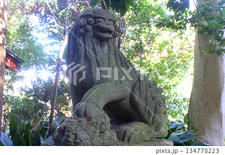 吉高宗像神社・狛犬（千葉県・君津市） 134778223