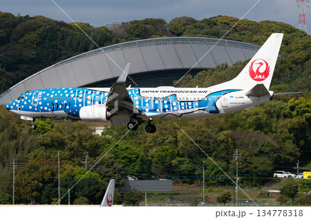 日本トランスオーシャン航空青サメ福岡空港アプローチ 134778318