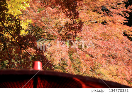 神社境内の紅葉の風景 134778381
