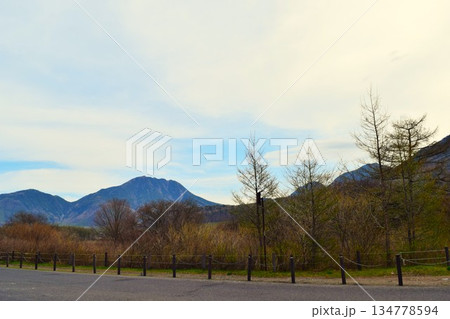 春の戦場ヶ原　日光市 栃木県　6 134778594