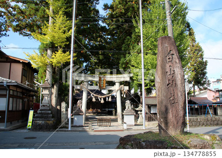 飛騨高山の一本杉白山神社   134778855