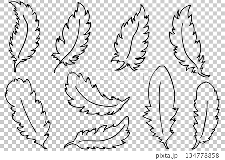 羽毛和翅膀線條畫向量插圖集 | 羽毛和鳥類符號設計 134778858