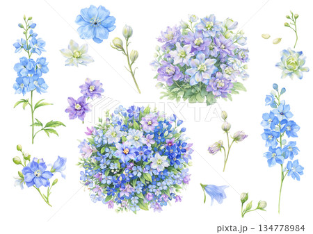 水彩で描いた青いデルフィニウムのイラスト 134778984