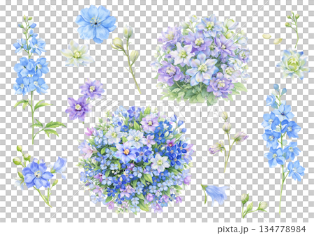 水彩で描いた青いデルフィニウムのイラスト 134778984