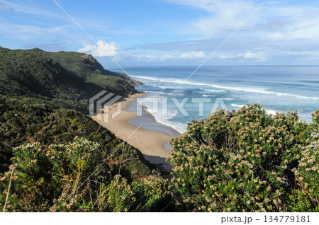 Near the Twelve Apostles 134779181