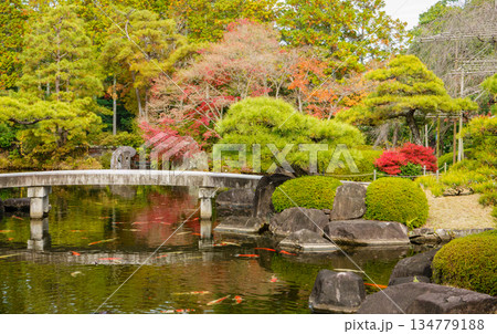 姫路市・姫路城西御屋敷跡庭園・好古園の紅葉 134779188