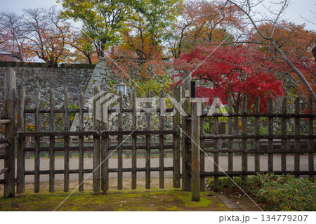 姫路市・姫路城西御屋敷跡庭園・好古園の紅葉 姫路市・姫路城西御屋敷跡庭園・好古園の紅葉 134779207