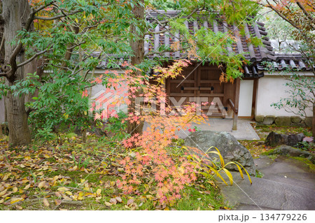 姫路市・姫路城西御屋敷跡庭園・好古園の紅葉 134779226