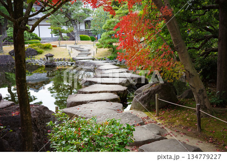 姫路市・姫路城西御屋敷跡庭園・好古園の紅葉 姫路市・姫路城西御屋敷跡庭園・好古園の紅葉 134779227