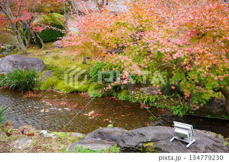 姫路市・姫路城西御屋敷跡庭園・好古園の紅葉 134779230