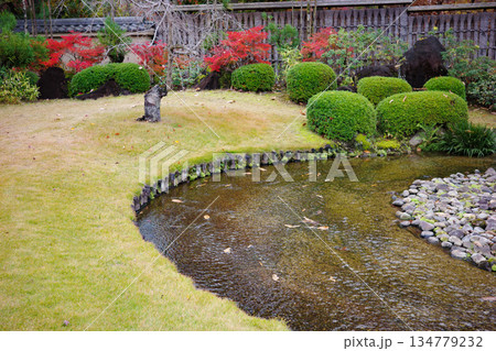 姫路市・姫路城西御屋敷跡庭園・好古園の紅葉 姫路市・姫路城西御屋敷跡庭園・好古園の紅葉 134779232