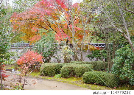 姫路市・姫路城西御屋敷跡庭園・好古園の紅葉 134779238