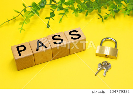 PASS　パスと書かれたブロック 134779382