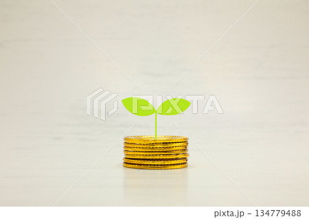 お金になる木 お金になる木 134779488