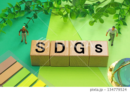 SDGsと書かれたブロック SDGsと書かれたブロック 134779524