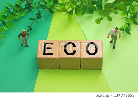 エコのイメージ ECOと書かれたブロック エコのイメージ ECOと書かれたブロック 134779655