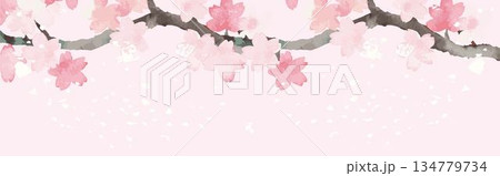 水彩の桜の枝と舞い散る花びらのバナー フレーム イラスト 背景 コピースペース デザイン 素材 水彩の桜の枝と舞い散る花びらのバナー フレーム イラスト 背景 コピースペース デザイン 素材 134779734