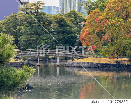秋の気配漂う日本庭園の池と木橋の風景 2025.11.12 浜離宮, 日本 秋の気配漂う日本庭園の池と木橋の風景 2025.11.12 浜離宮, 日本 134779885