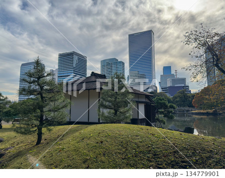 伝統ある御茶屋と近代ビル群が共存する東京の風景 2025.11.12 浜離宮, 日本 伝統ある御茶屋と近代ビル群が共存する東京の風景 2025.11.12 浜離宮, 日本 134779901