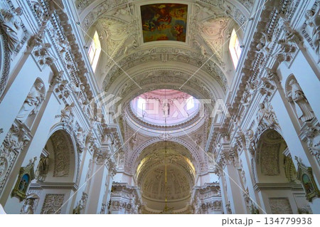 バロックの凍れる音楽「聖ペテロ&パウロ教会」の漆喰彫刻 バロックの凍れる音楽「聖ペテロ&パウロ教会」の漆喰彫刻 134779938
