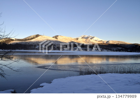 雪山の白樺湖 134779989