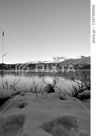 雪山の白樺湖 134780060