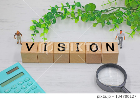 VISIONと書かれたブロック 134780127