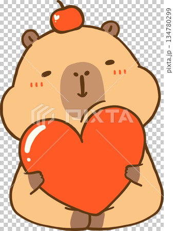 Cute Valentine Capybara Holding Heart Cartoon Hand Drawn Illustration 134780299