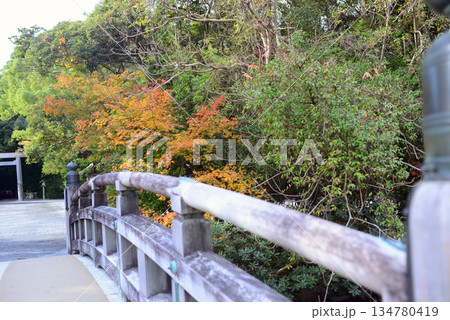 伊勢神宮内宮宇治橋と紅葉-2 134780419