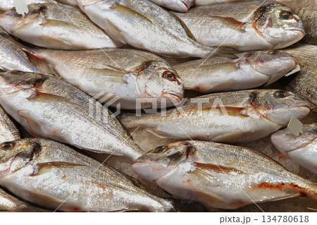Fish fresh Fish fresh 134780618