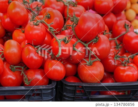 Fresh tomato 134780856